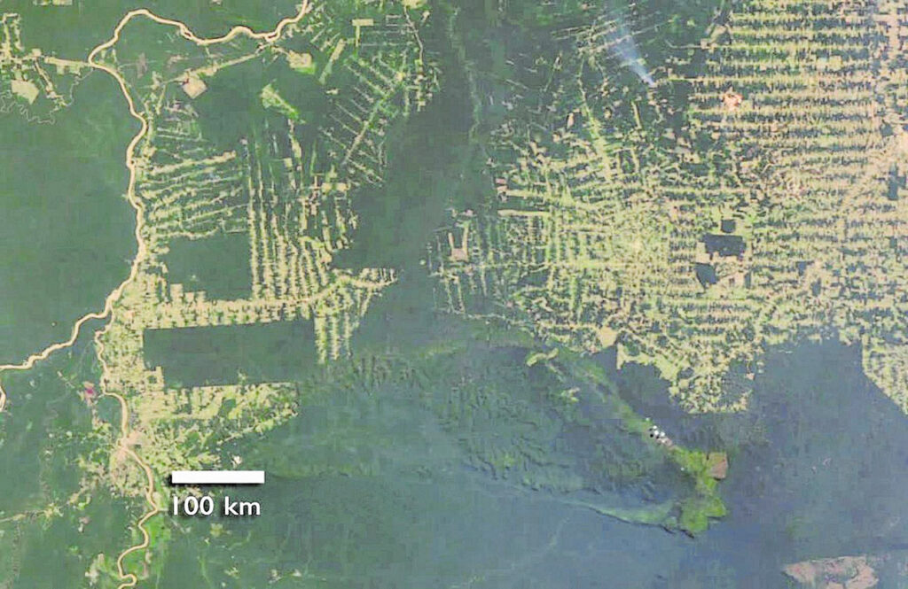 Imagen por satélite que muestra la deforestación en Rondonia (Brasil)