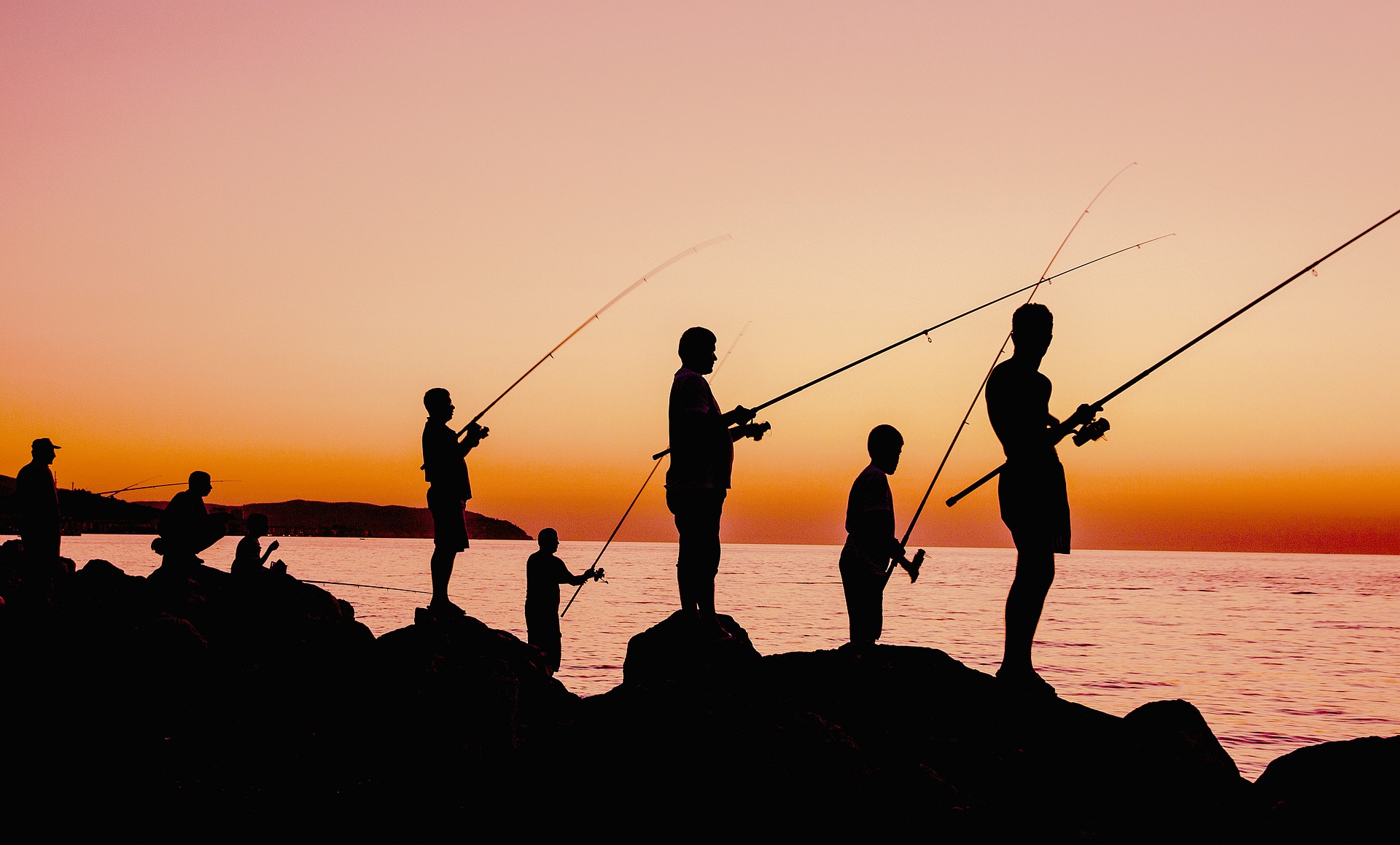  Por Qu La pesca Hace Que Los Peces Sean Cada Vez M s Peque os 