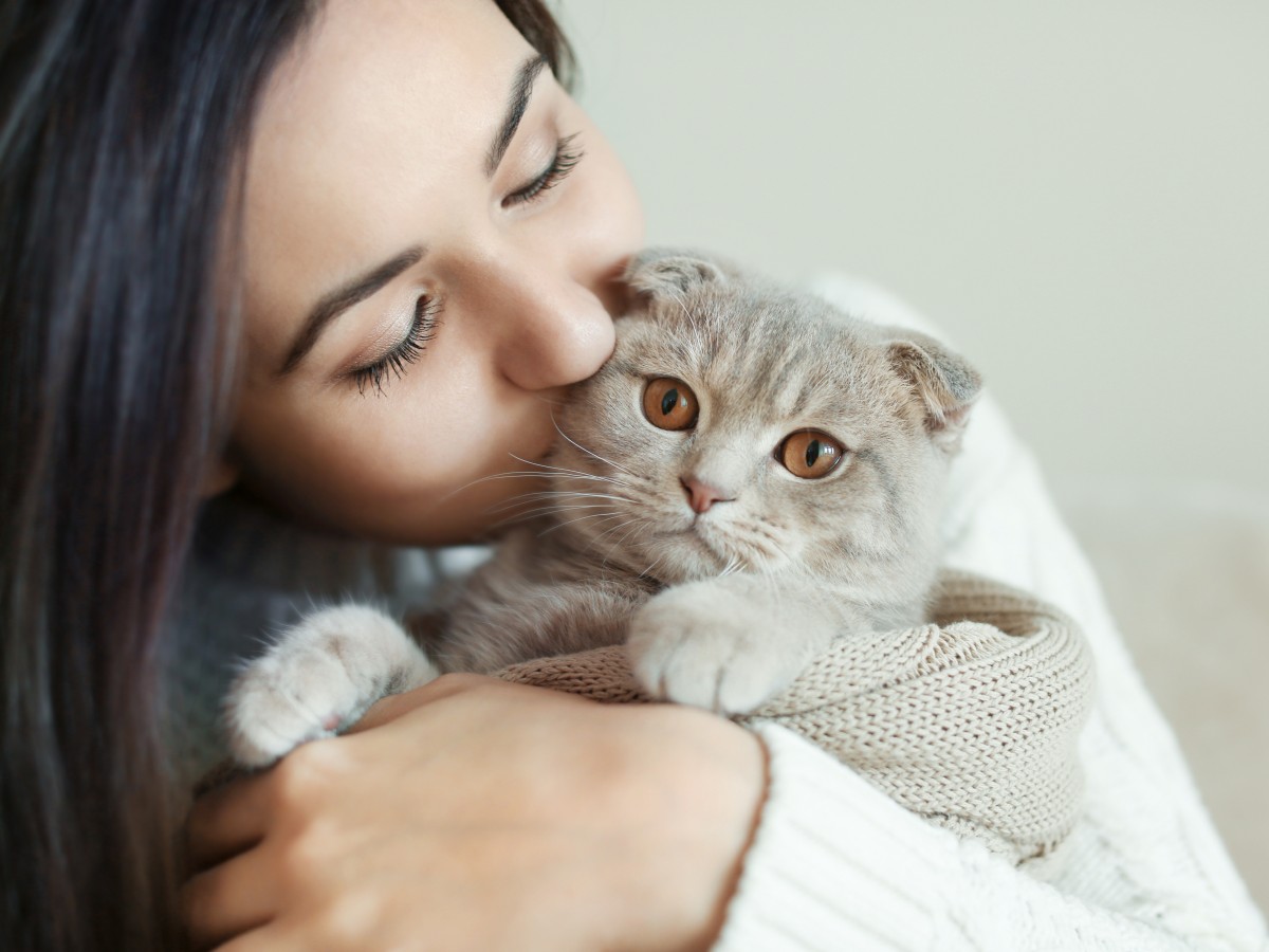 Descubren los cinco tipos de relación entre gatos y dueños: ¿cuál es la  tuya?