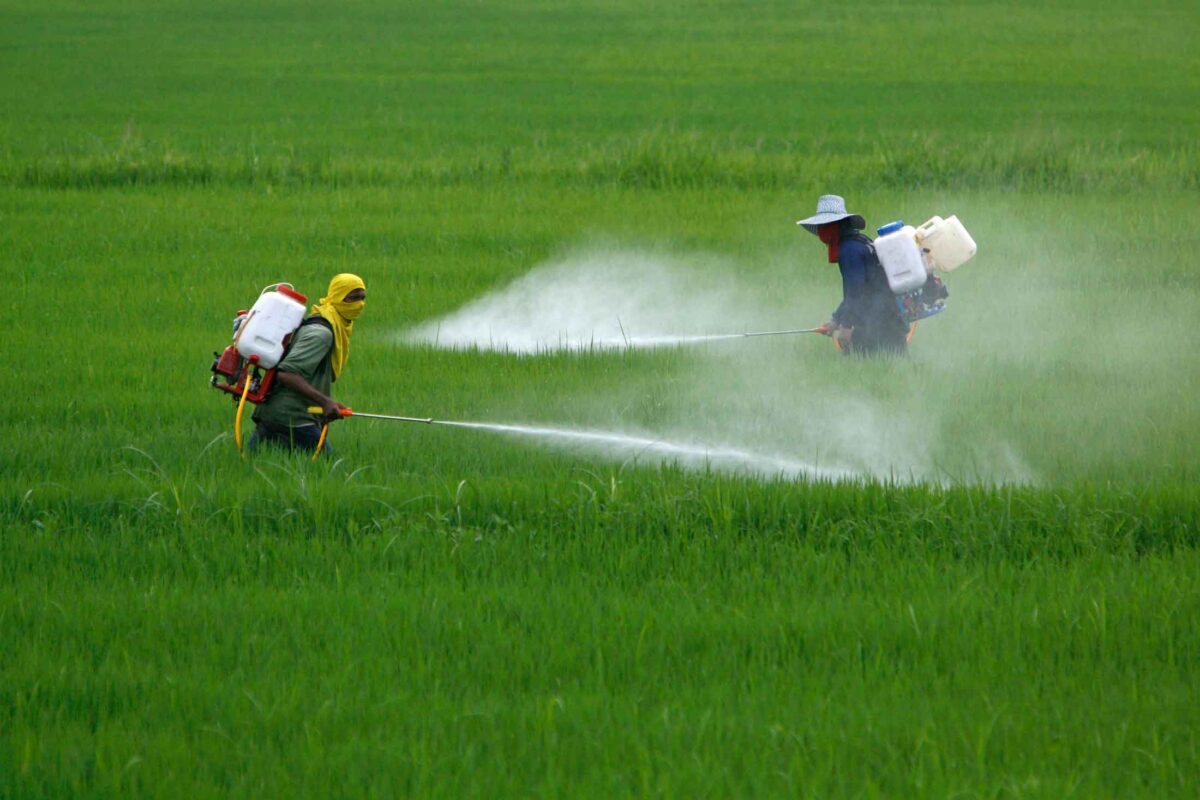sustancias tóxicas pesticidas