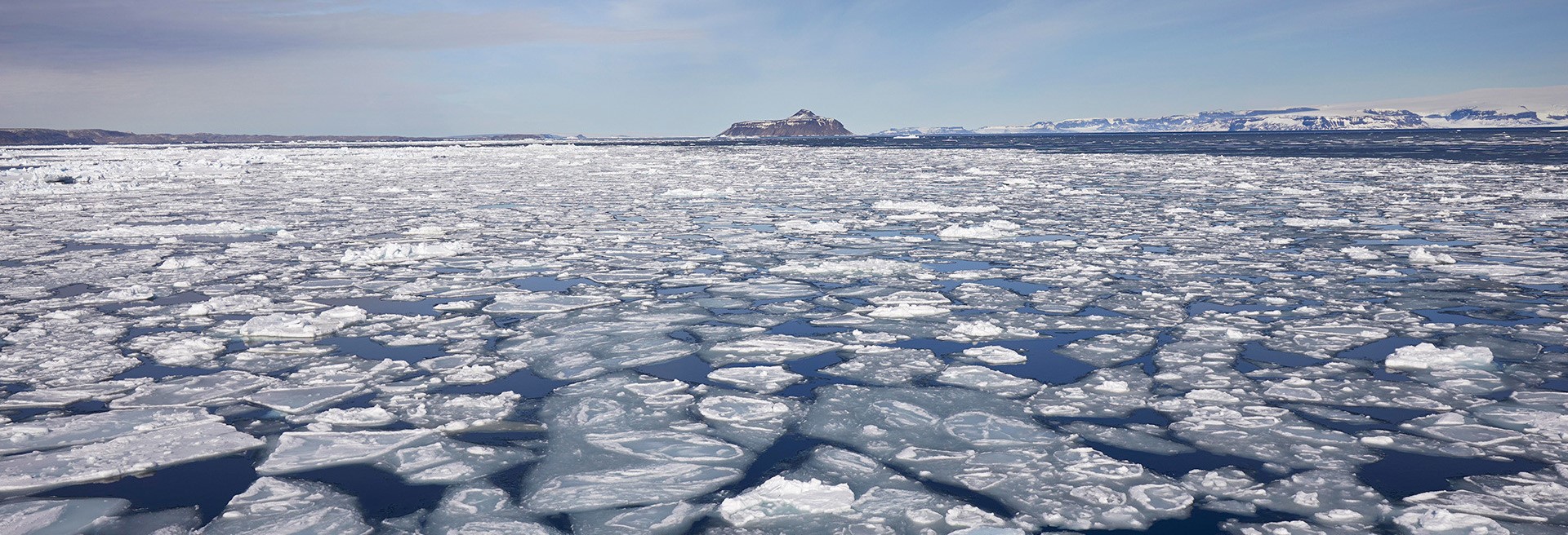 El hielo marino se derrite cada vez más rápido en el Océano Ártico. 