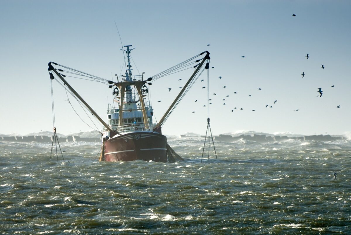 La Pesca de Arrastre ¿y la Protección Medio Ambiental de nuestros mares?